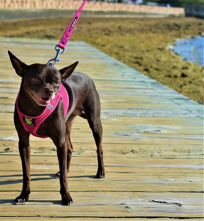 EcoBark Rapid Fastener Super Comfort Fully Adjustable Double Padded Step in Dog Harness (Medium, Pink)