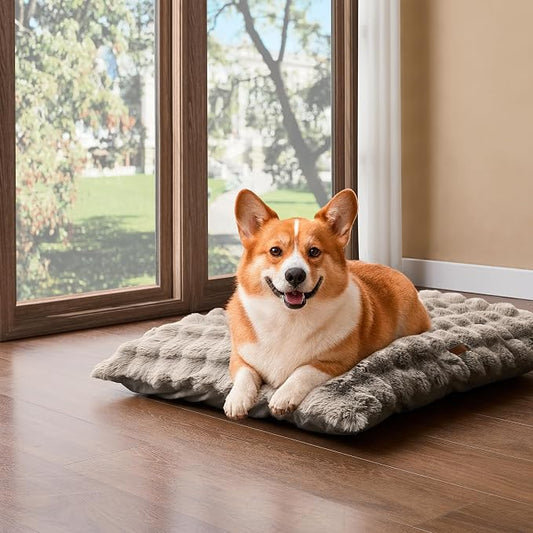 WDCOZY Fluffy Dog Crate Beds for Large Dog, Plush Faux Fur Kennel Pad with Removal Washable Cover, Soft Pet Mat for Sleeping & Ease Anxiety, Anti-Slip Bottom for Pet Up, 36"x23", Beige