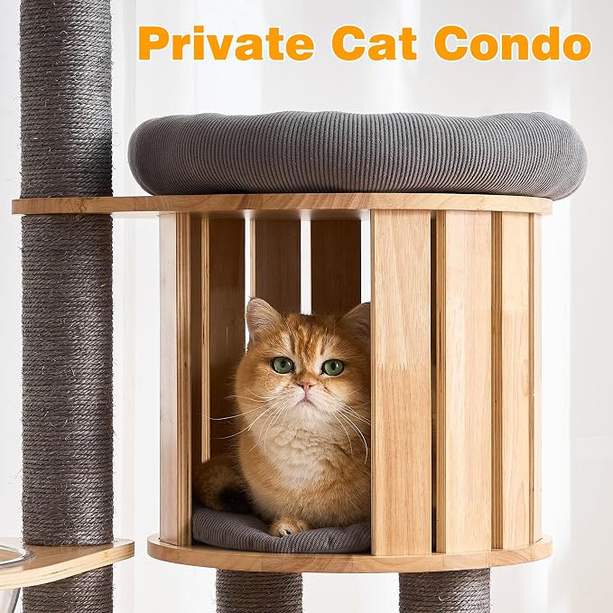 HITTITE Solid Wood Cat Tree Tower with Scratching Post, 61 Inches Tall Cat Towers with Capsule and Condo, Modern Cat Tower with Hammock and Removable Top Bed for Indoor Cats.Grey