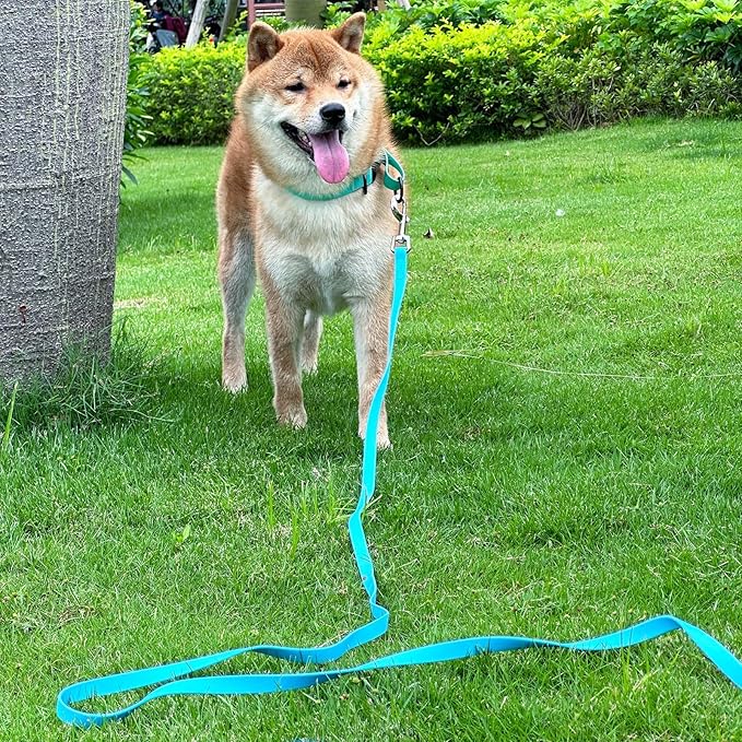 Waterproof Long Leash Durable Dog Recall Training Lead Great for Outdoor Hiking, Training, Yard, Beach and Swimming (Sky Blue, 10ft)