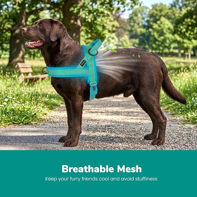 Didog No Pull Dog Harness with Breathable Mesh Padded, Full Reflective & Quick Fit Adjustable Vest Harness, Easy for Training Walking for Small & Medium and Large Dogs (Green, L:Chest 26-32")