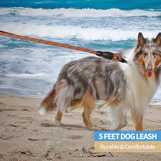 BAAPET 2/4/5/6 FT Dog Leash with Comfortable Padded Handle and Highly Reflective Threads for Small Medium and Large Dogs (5FT-1/2'', Black Orange)