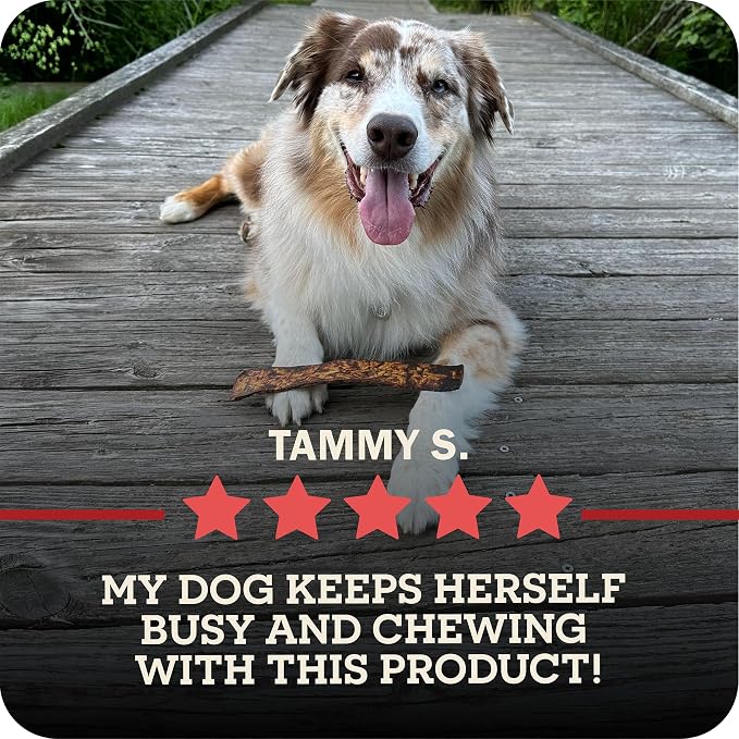 Redbarn Pet Products All-Natural Rawhide Bully Slices - Bully Stick Flavor - Premium Grain-Free Beef Hide Treats High Protein Low Fat for Chewers - 9 oz Bag