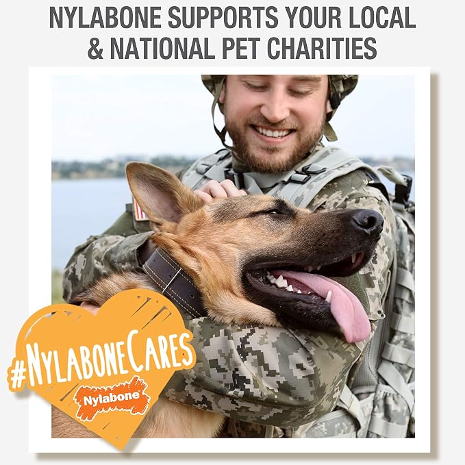 Nylabone Nutri Dent Natural Dental Chews for Dogs, Limited Ingredient Dog Treats Made in the USA, Clean Teeth & Fresh Breath, Healthy Dog Chews, Fresh Breath Flavor, For X-Small Dogs, (78 Count)