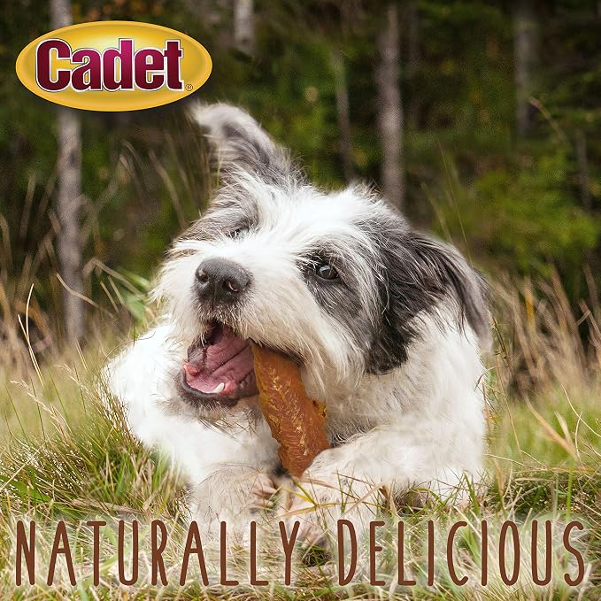 Cadet Gourmet Chicken Jerky Dog Treats For Training - Healthy & Natural Dog Training Treats for Small & Large Breeds - Inspected & Tested in USA (28 oz.)