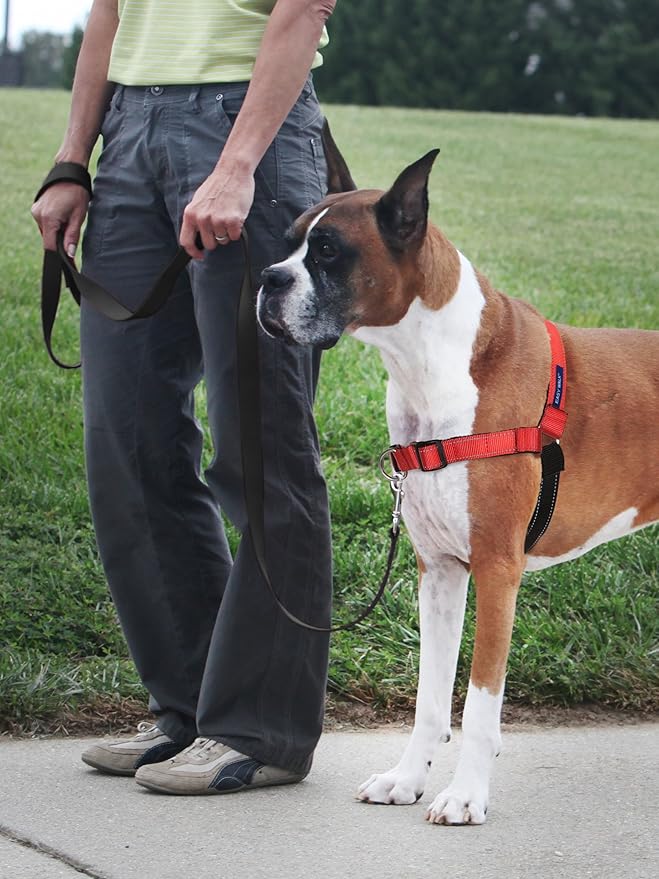 PetSafe Easy Walk Deluxe Dog Harness, No Pull Dog Harness Perfect for Leash & Harness Training Stops Pets from Pulling and Choking on Walks Small, Rose