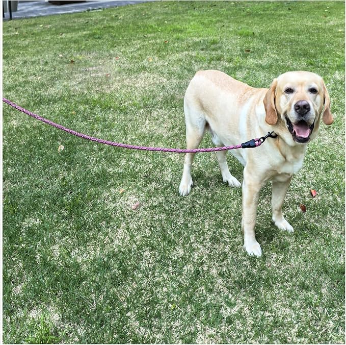 MayPaw Heavy Duty Rope Dog Leash, 6/8/10FT Nylon Pet Leash, Soft Padded Handle Thick Lead Leashes for Large Medium Dogs Walking Jogging (1/2" * 6', Pink Black)