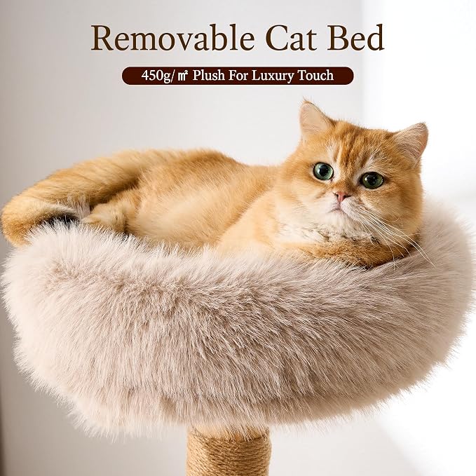 HITTITE Natural Wood Cat Tree Tower with Scratching Post, 53.5 Inches Tall Modern Cat Tower with Cozy Bed and Condo, Luxury Real Branch Cat Tree for Indoor Cats Large Adult, Khaki.