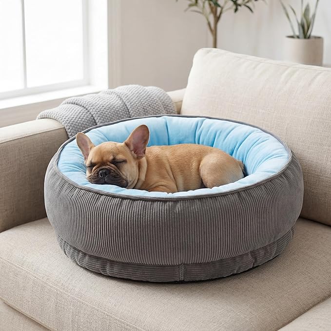 Calming Dog Bed for Small Dogs 18"x20" - Washable Donut Pet Bed with Anti-Slip Bottom, Soft Puppy Bed for Indoor Kittens and Cats with Removable Cover (Sky Blue)
