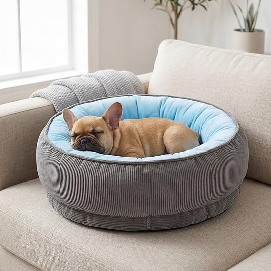 Calming Dog Bed for Small Dogs 18"x20" - Washable Donut Pet Bed with Anti-Slip Bottom, Soft Puppy Bed for Indoor Kittens and Cats with Removable Cover (Sky Blue)