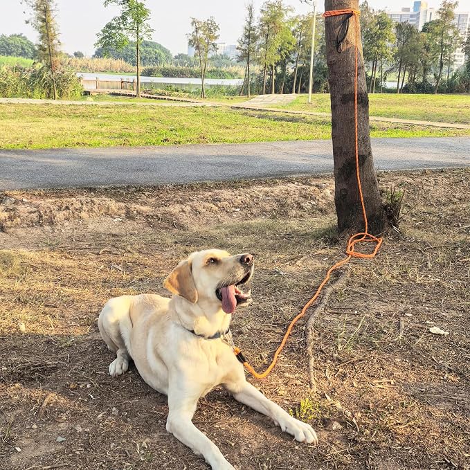 ZALER Long Dog Leash, 50 feet 30ft 20ft 15ft 10ft Dog Training Lead, Heavy Duty Check Cord Recall Leash for Dogs Training, Playing, Camping, or Backyard (30FT, Black Purple)