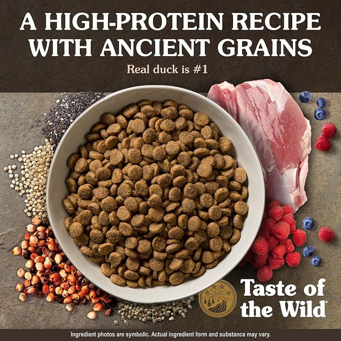 Taste of the Wild Ancient Wetlands All Life Stages High Protein Recipe with Roasted Fowl & Ancient Grains Dry Dog Food 5lb