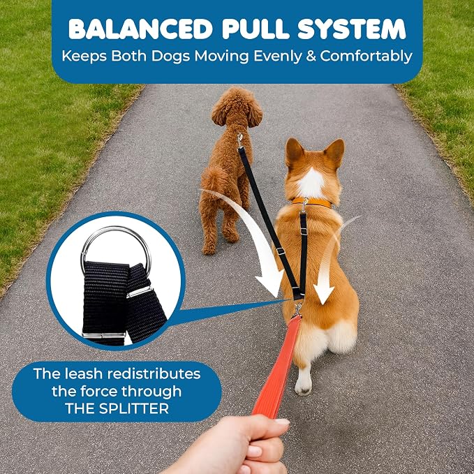 SunGrow 16-24" Adjustable Double Dog Walker Leash, Lightweight Dual Lead with 360° Swivel Zinc-Alloy Clips, Durable Polypropylene Strap, Fits Small to Medium Breeds, Ideal for Daily Walks & Training