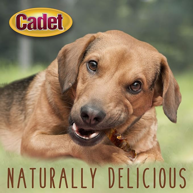 Cadet Gourmet Sweet Potato & Chicken Dog Treats Wraps - Healthy & Natural Chicken & Sweet Potato Dog Training Treats for Small & Large Breeds - Inspected & Tested in USA (28 oz.)