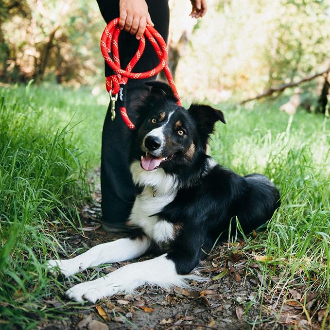 ZippyPaws Climbers Rope Heavy Duty Dog Leash - Thick Leashes for Large Breed Dogs, Durable 2/3'' Climbing Rope, 6 Feet Long, Comfortable Woven Design, Tested Strength Over 3000 lbs - Red