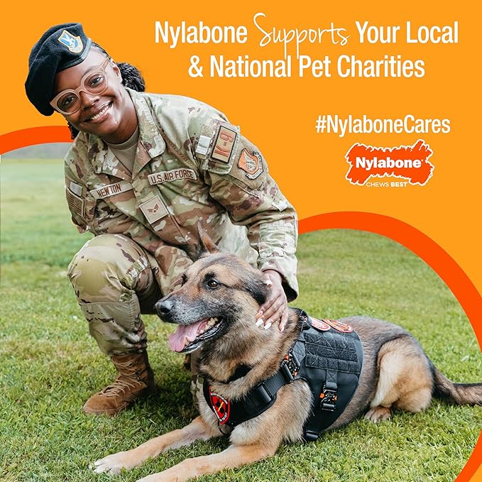 Nylabone Healthy Edibles Natural Dog Chews, Long Lasting Bones for Dogs, Turkey & Apple Dog Treats, X-Large (1 Count)