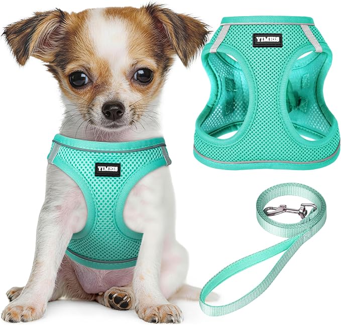 YIMEIS Dog Harness and Leash Set, No Pull Soft Mesh Pet Harness, Reflective Adjustable Puppy Vest for Small Medium Large Dogs, Cats (Tiffany Blue, Medium (Pack of 1)