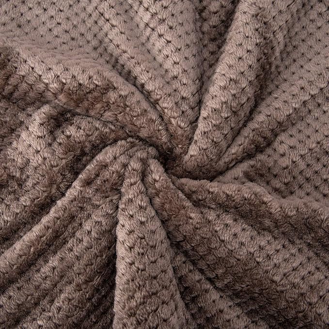 DW-Eagle Grey Plush Fleece Receiving Blanket for Dog, Cat, Couch, Travel & Outdoor, Camping (24" x 32")