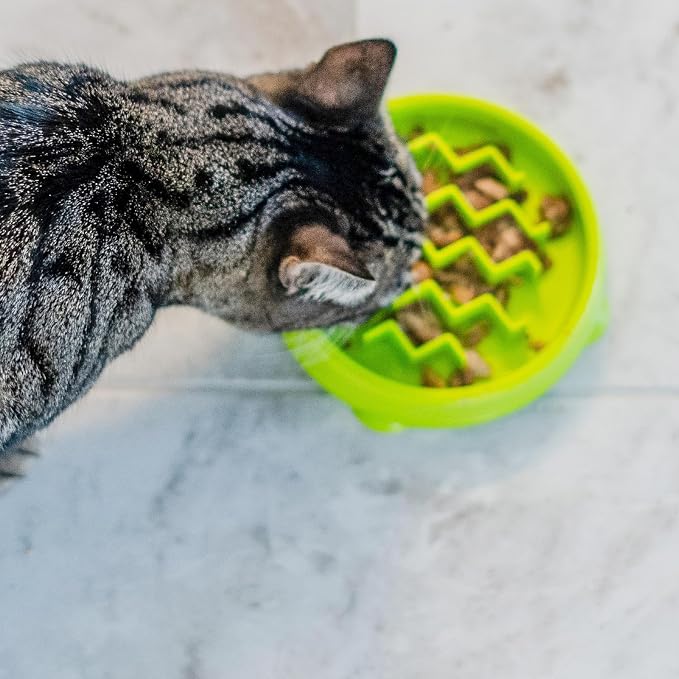 Catstages Kitty Slow Feeder Bowl for Cats & Small Dogs, Puzzle Dish for Fast Eaters, for Wet or Dry Food, Helps Slow Eating & Aid Digestion, Non-Slip, Made Without BPA, 3/4 Cup, 5-Inch, Green