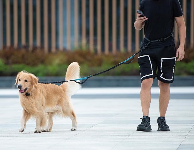 iYoShop Hands Free Dog Leash with Zipper Pouch, Dual Padded Handles and Durable Bungee for Walking, Jogging and Running Your Dog (White-Pink Mix, Large)