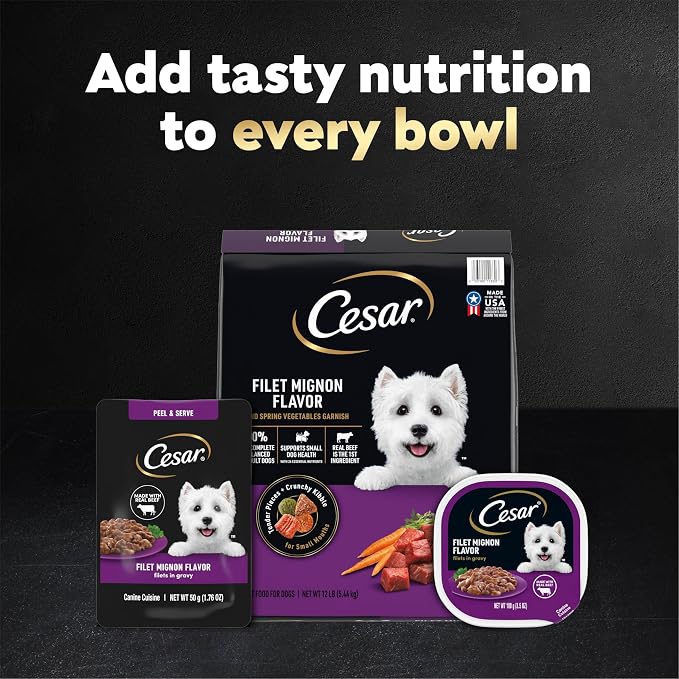 Cesar Filets in Gravy Wet Dog Food, Filet Mignon Flavor, Wet Food for Dogs, 1.76 oz. Mini-Pouches, 20 Count