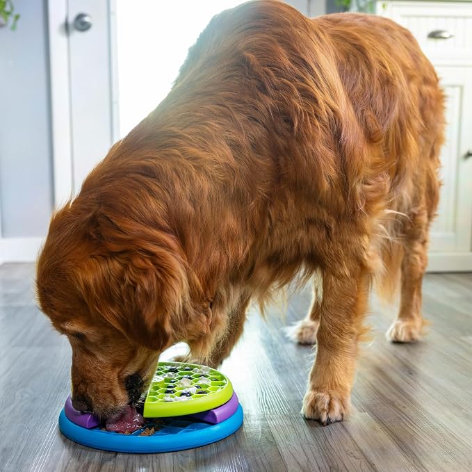 Outward Hound by Nina Ottosson Lickin’ Layers 3-in-1 Interactive Dog Feeder Puzzle, Lick Mat & Slow Feeder Bowl - Mental Stimulation Toy for Medium & Large Dogs, 2 Cup Capacity, 10.4 in x 2.8 in