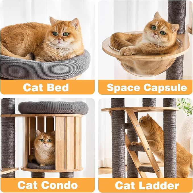 HITTITE Solid Wood Cat Tree Tower with Scratching Post, 61 Inches Tall Cat Towers with Capsule and Condo, Modern Cat Tower with Hammock and Removable Top Bed for Indoor Cats.Grey