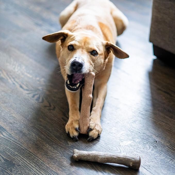 Dogwood Calming Dog Chew Toy – Real-Wood Blend, Moderate Chewers, Medium, 7.5", 2-Pack (Natural & Hemp Flavors)