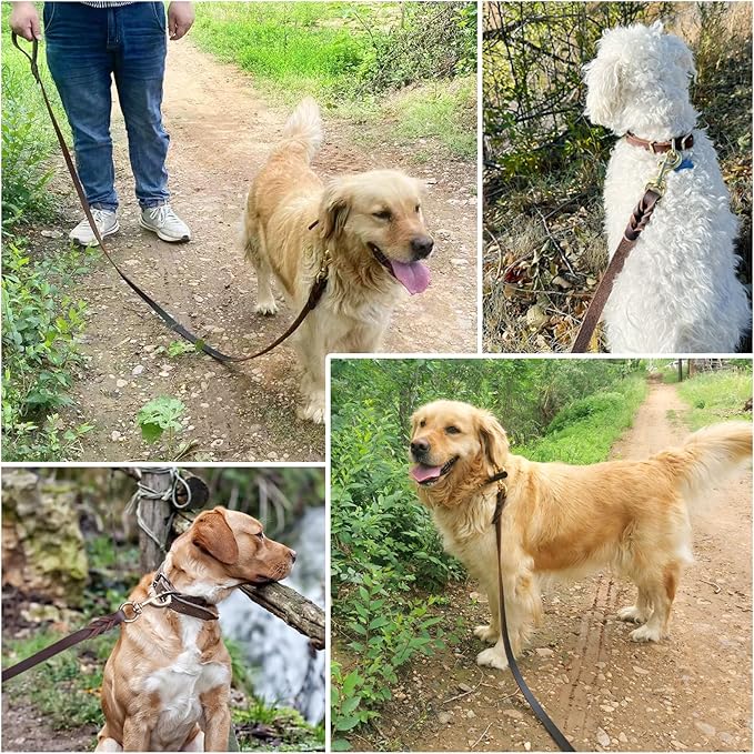 Leather Dog Leash, 5ft x 3/4 inch, Heavy Duty Genuine Leather Braided Dog Training Leash, Comfortable for Large, Medium, Small Dogs (Brown, 5FT*3/4in)