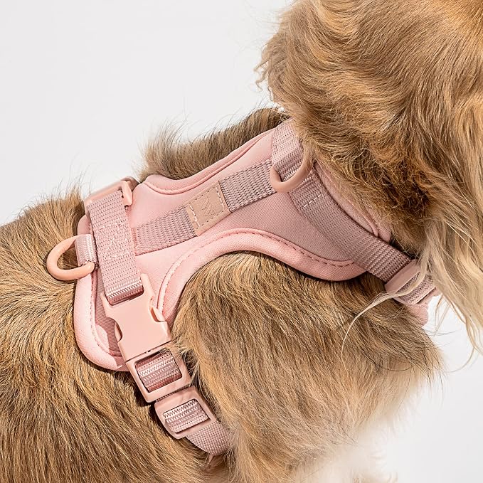Wild One Harness 2.0 - Medium - Pink