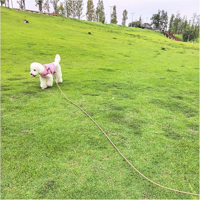 MayPaw 20ft Rope Dog Leash, Long Dog Lead 6/8/10/15/20FT Nylon Pet Leash, Soft Padded Handle Thick Lead Leashes for Large Medium Dogs Walking Training (Brown)