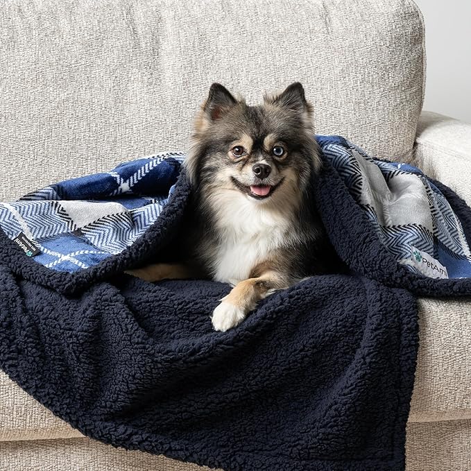 PetAmi Waterproof Dog Blanket for Couch, Pee Proof Sherpa Fleece Reversible Pet Throw, Furniture Protector for Bed Sofa Kennel, Soft Washable Cover for Small Medium Dog Puppy Cat, 29x40 Plaid Blue