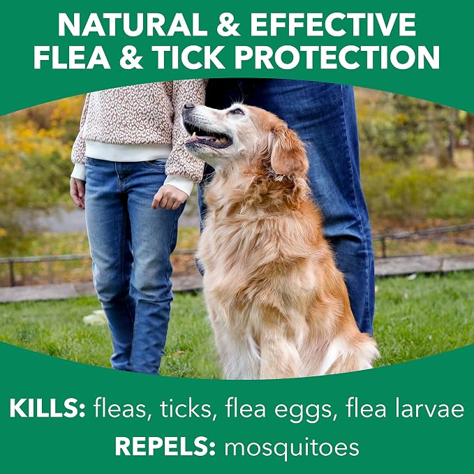 Hartz Nature’s Shield Flea & Tick Spray Treatment for Dogs, Natural and Effective Flea & Tick Prevention and Protection for Dogs with Cedarwood and Lemongrass Oil, 14 Ounces (Pack of 4)