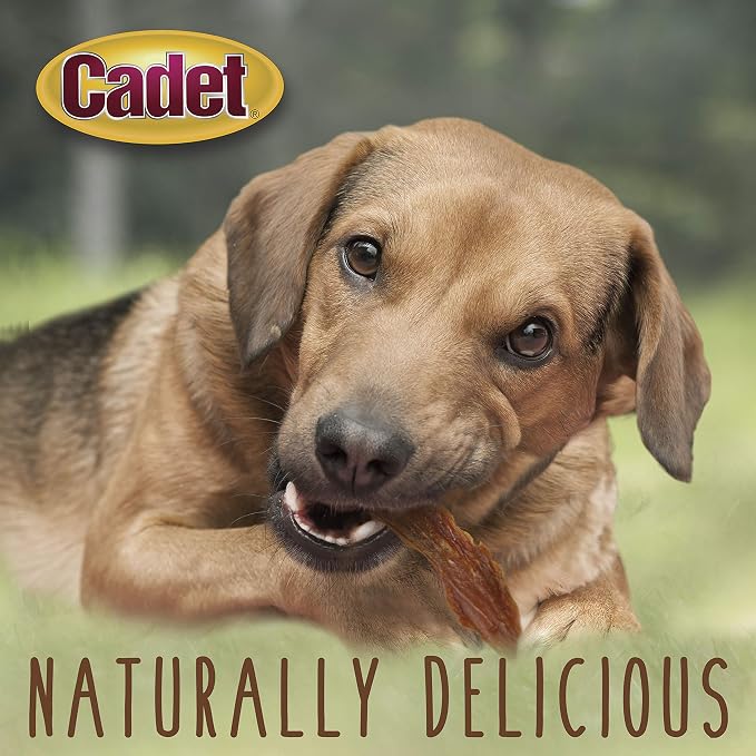 Cadet Gourmet Duck Jerky Dog Treats For Training - Healthy & Natural Dog Training Treats for Small & Large Breeds - Inspected & Tested in USA (14 oz.)