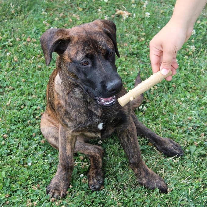 SPOT Bam-Bones Plus Bamboo Stick – Bamboo Fiber & Nylon, Durable Long Lasting Dog Chew for Aggressive Chewers – Great Toy for Adult Dogs & Puppies Under 60lbs, Non-Splintering, 5.25in, Chicken Flavor