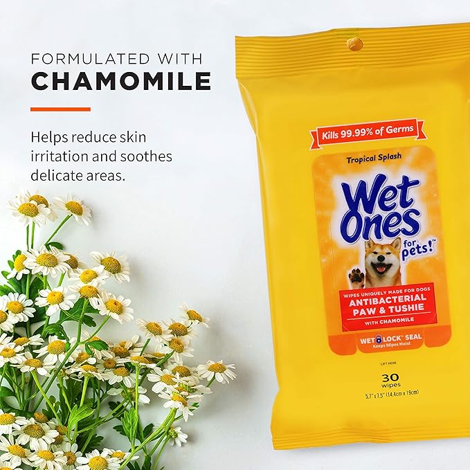 Wet Ones for Pets Paw and Tushie Dog Wipes with Chamomile, Tropical Splash Scent - Cleansing Grooming Wipes for Dog Paws and Butt Between Baths, Wet Lock Seal, 30 Count - 8 Pack