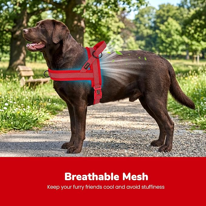Didog No Pull Dog Harness with Breathable Mesh Padded, Full Reflective & Quick Fit Adjustable Vest Harness, Easy for Training Walking for Small & Medium and Large Dogs (Red, L:Chest 26-32")