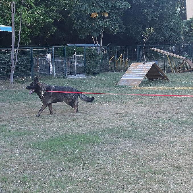 Dog/Puppy Obedience Recall Training Agility Lead - 15ft 20ft 30ft 50ft Training Leash - Great for Play, Camping, or Backyard - Pink 30ft