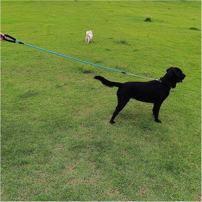 BTINESFUL 6FT Chewproof Dog Leash, Strong Nylon Rope with Anti-Chewing Chain and Padded Handle for Medium Large Dogs Outdoor Training Walking Hiking (Blue)