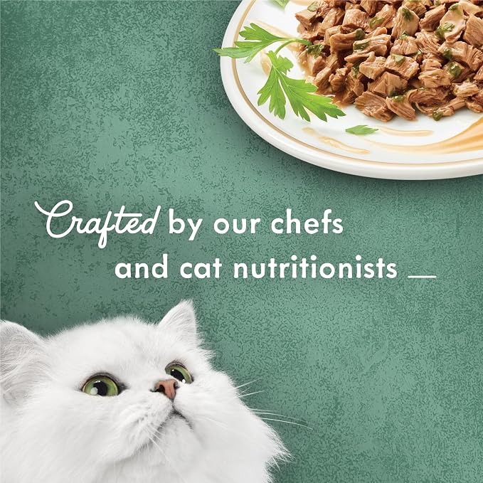 Purina Fancy Feast Wet Cat Food, Medleys Wild Salmon Florentine With Garden Greens in Delicate Sauce - (Pack of 24) 3 oz. Cans
