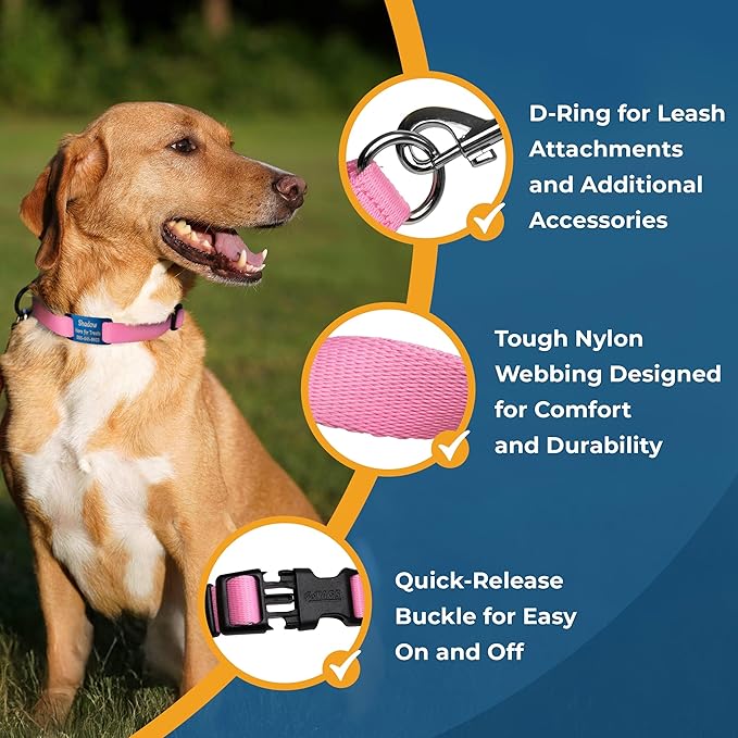 GoTags Personalized Dog ID Tag Collar, Adjustable Nameplate Collar with Custom Engraved Steel Slide On Pet Tag, Silent, No Noise Identification Name Number Many Color Options (Classic, Large)