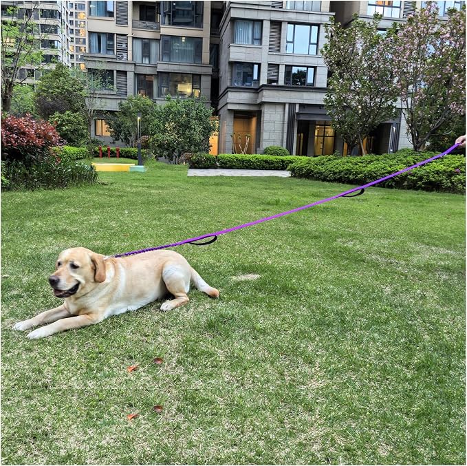 BTINESFUL 8ft Dog Leash with 3 Handles, Triple Handle, Reflective, Shork Absorbing Bungee, Control & Safety Training for Large Medium Dogs (Purple, 1 in x 8 ft)