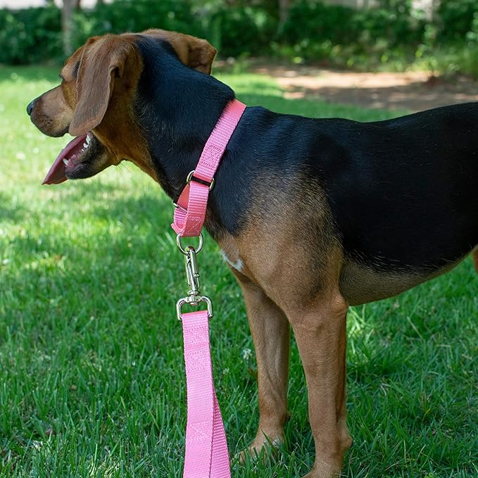 Country Brook Petz - Martingale Dog Collar - Heavy-Duty Training Collar with No Buckle - Service Dog Collar for All Pups - 20 Vibrant Colors (Pink, 3/8 Inch, 3XS)