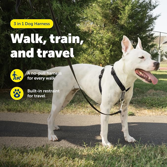 PetSafe 3 in 1 No-Pull Dog Harness for Medium Dogs - Walk, Train or Travel - Helps Pets from Pulling on Walks - Seatbelt Loop Doubles as Quick Access Handle - Reflective- Medium, Black