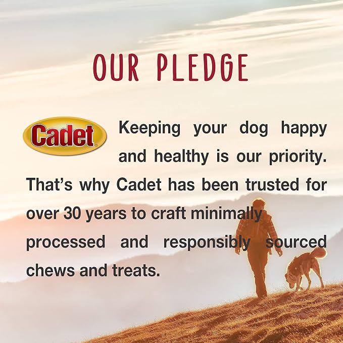 Cadet Bully Sticks for Small Dogs – All-Natural Beef Pizzle, High Protein, Low Fat, Long-Lasting, Grain & Rawhide-Free Dog Chews for Aggressive Chewers, Small (25 Count)
