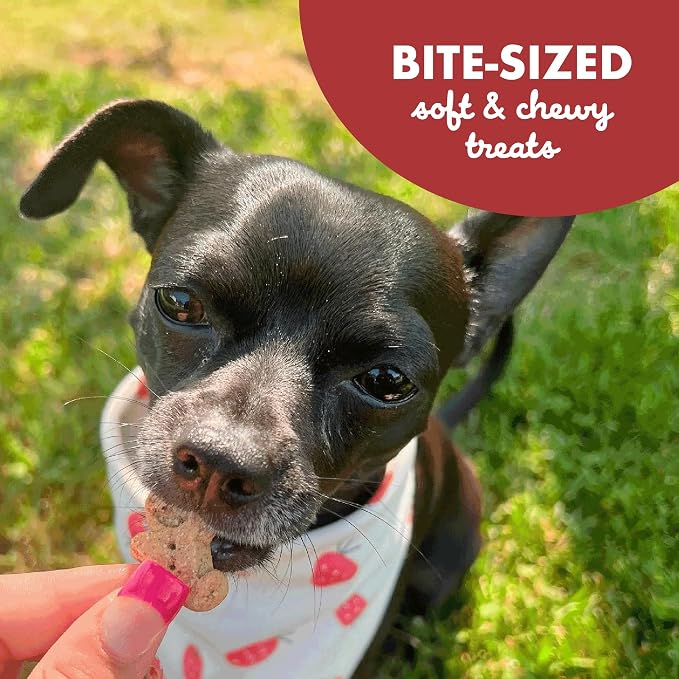 Buddy Biscuits Softies 5 oz Pouch, Grain-Free Soft & Chewy, Natural Grilled Beef Flavor Dog Treats, Oven Baked in the USA