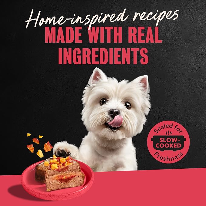 Cesar Loaf in Sauce Wet Dog Food Rotisserie Chicken, Filet Mignon, Angus Beef, and Ham & Egg Flavors Variety Pack, 3.5 oz. Easy Peel Trays (24 Count, Pack of 1)