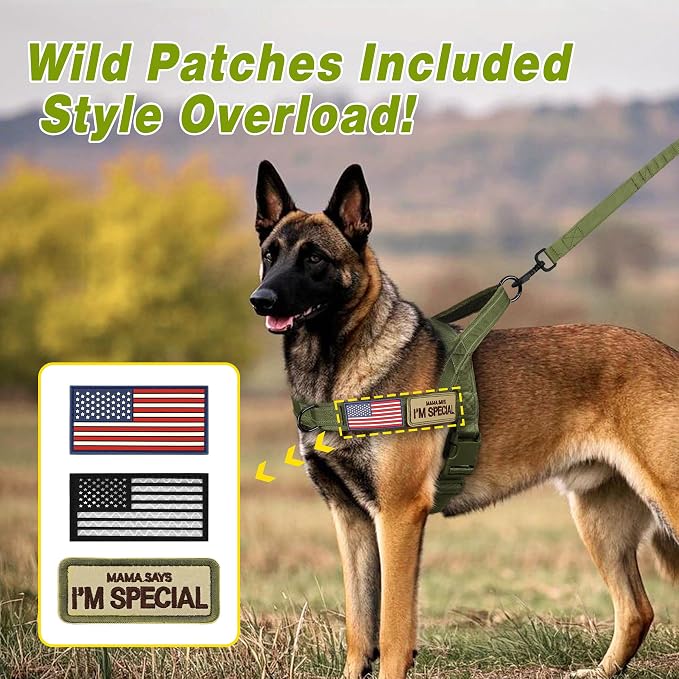 Forestpaw No Pull Dog Harness with Large Handle,Slip on Reflective Vest with Quick Release Buckle,Comfortable Flannel Lining for Medium Large Dogs Walking Training (Includes 3 Patches),Green XL