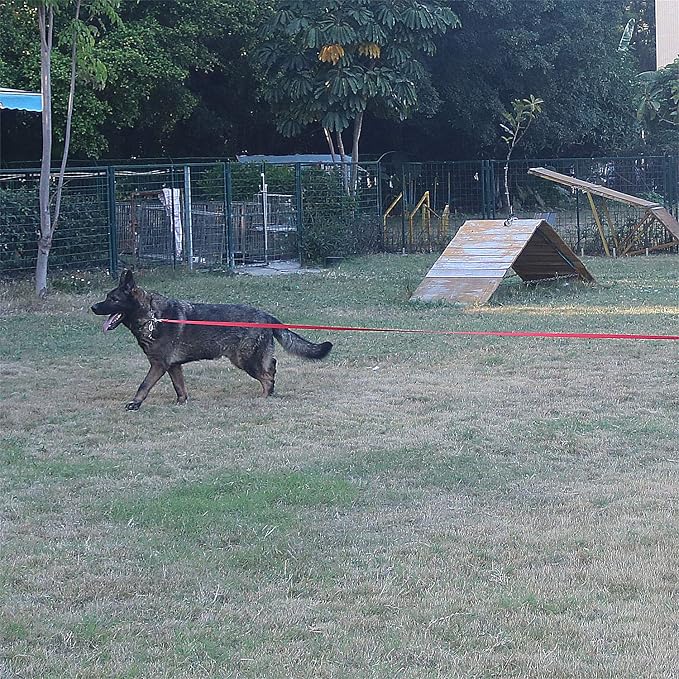 Dog/Puppy Obedience Recall Training Agility Lead - 15ft 20ft 30ft 50ft Training Leash - Great for Play, Camping, or Backyard - Orange 15ft (15Feet, Orange)
