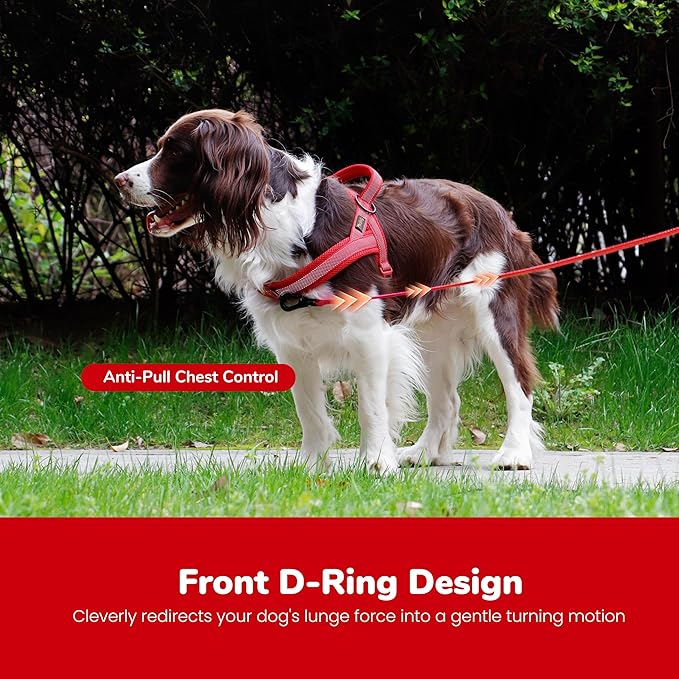 Didog No Pull Dog Harness with Breathable Mesh Padded, Full Reflective & Quick Fit Adjustable Vest Harness, Easy for Training Walking for Small & Medium and Large Dogs (Red, M:Chest 21-26")